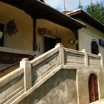 casa-memoriala-visarion-puiu