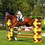 Piatra Neamt Cup and the Romanian Equestrian Federation Cup