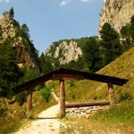 Şugăului Gorges in Neamţ County