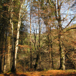 Tarcau Mountains – Neamt County