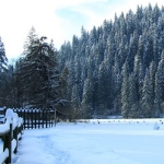 Lace of Ice in Cheile Bicazului