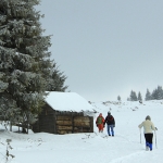 Hiking in Cheile Bicazului –Ghilgos Plane