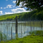 Hiking towards Cuejdel Lake in Neamt County