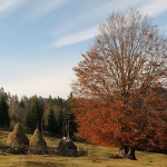 “Sarbatoare pe Ceahlau” Festival – August 8 2010