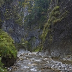 Autumn sceneries in Cheile Sugaului