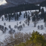 The Snow Festival from Durau between January 29 and 30, 2011