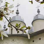 The Healing Spring from Horaita Monastery