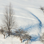 Winter customs and traditions in Neamt County