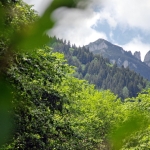 Summer in CEAHLĂU