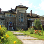 Art Museum “Iulia Halaucescu” in Tarcau