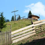 The Division of Sheep