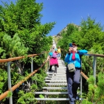 Rush hour on top of Ceahlău Massif!