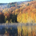 Fall foliage in Neamt County’s lakes
