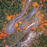 Fall in Neamț County, part I