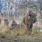 Ecotourism’s Development in Neamț County