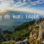 Journey into Bison’s Kingdom