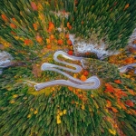 Autumn splendour in Bicaz Gorges and Bicăjel Valley