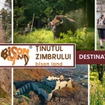 Bison Land from Neamț County can win “Destination of the Year Award 2023”. MAKE SURE YOU CAST YOUR VOTE!