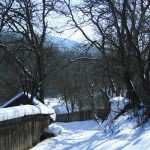 winter-in-the-monastic-village-of-agapia