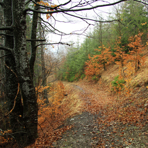 hiking-route-ivanes-bicaz-chei