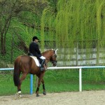 program-prices-equestrian-complex-piatra-neamt