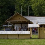 summer-school-2010-at-tineretului-swimmin-pool-piatra-neamt