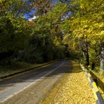 autumn-sceneries-piatra-neamt