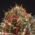 christmas-carols-concert-2010-piatra-neamt