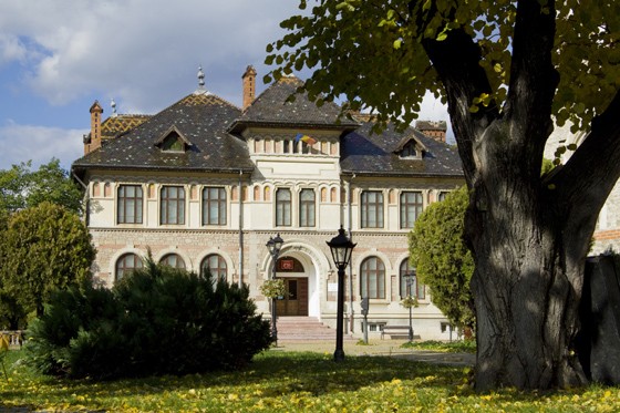 The Art Museum from Piatra Neamt