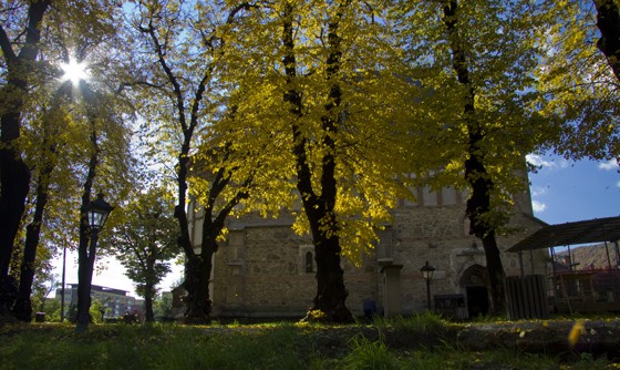 The Royal Court from Piatra Neamt