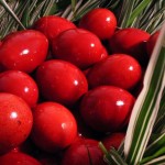 traditional-easter-products-neamt-2011