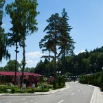 tineretului-swimming-pool-piatra-neamt-2011