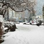 expozitie-gheorghe-vadana