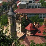 03-festival-dragobete-2012-march