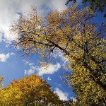 06-self-portrait-exhibition-stefan-pop-piatra-neamt-2012