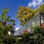 05-festivalul-doruri-musatine-2012