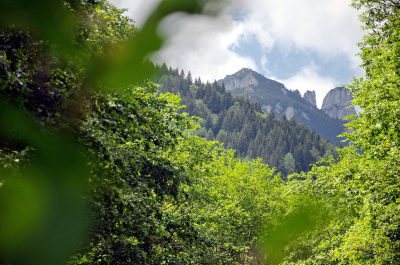 Summer in Ceahlău