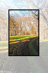 Autumn scenery at Styrcea Mansion, Valeni Commune