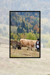 Neamț villages that will steal your heart