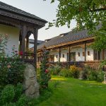 ”Neculai Popa” House in Târpești