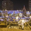 Piatra Neamt on Christmas