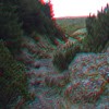 3D Images from Ceahlau Mountain