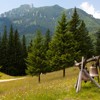 Wooden church architecture