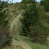 Hiking on Asau Peak near Damuc, Neamt County