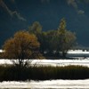 Autumn toward Bicaz 2011