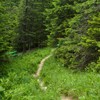 Touristic trails on Ceahlau Mountain