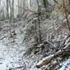 Trekking Route to Ceahlau Mountain - Lutu Rosu