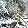 Trekking Route to Ceahlau Mountain - Lutu Rosu