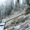 Trekking Route to Ceahlau Mountain - Lutu Rosu