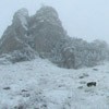 Trekking Route to Ceahlau Mountain - Lutu Rosu